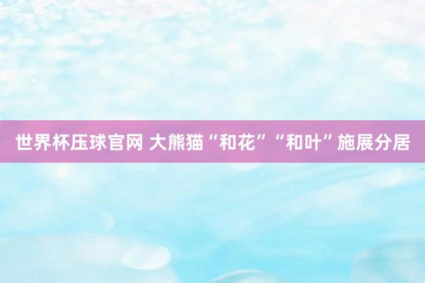 世界杯压球官网 大熊猫“和花”“和叶”施展分居