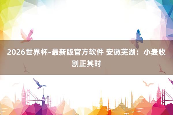 2026世界杯-最新版官方软件 安徽芜湖：小麦收割正其时