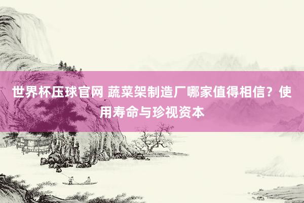 世界杯压球官网 蔬菜架制造厂哪家值得相信？使用寿命与珍视资本