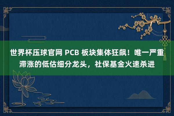 世界杯压球官网 PCB 板块集体狂飙！唯一严重滞涨的低估细分龙头，社保基金火速杀进