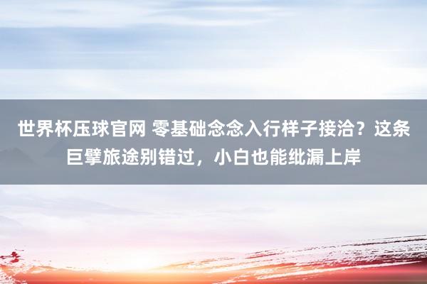 世界杯压球官网 零基础念念入行样子接洽？这条巨擘旅途别错过，小白也能纰漏上岸