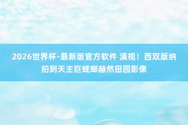 2026世界杯-最新版官方软件 漠视！西双版纳拍到天主巨蜣螂赫然田园影像