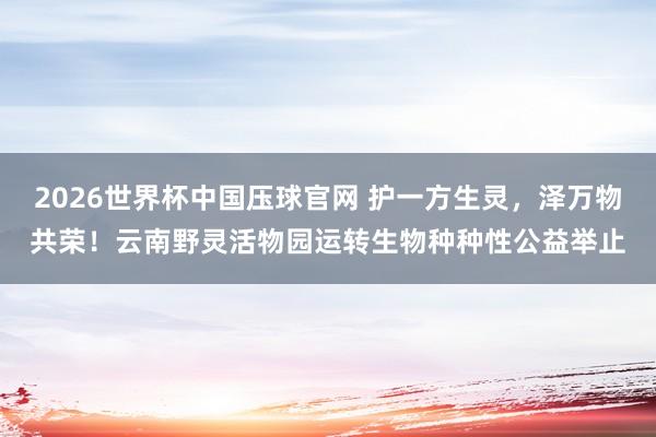 2026世界杯中国压球官网 护一方生灵，泽万物共荣！云南野灵活物园运转生物种种性公益举止