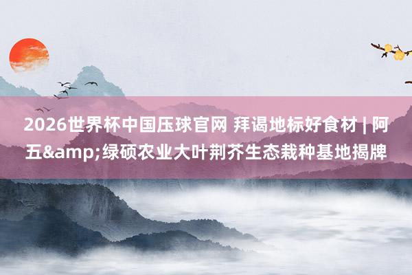 2026世界杯中国压球官网 拜谒地标好食材 | 阿五&绿硕农业大叶荆芥生态栽种基地揭牌