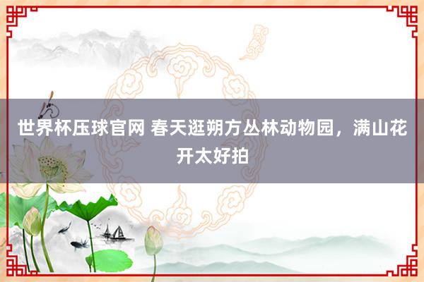 世界杯压球官网 春天逛朔方丛林动物园，满山花开太好拍