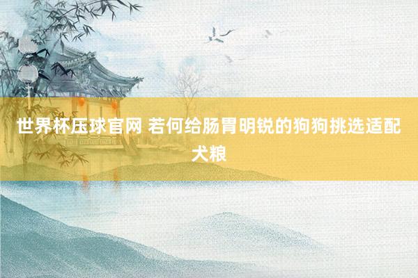 世界杯压球官网 若何给肠胃明锐的狗狗挑选适配犬粮