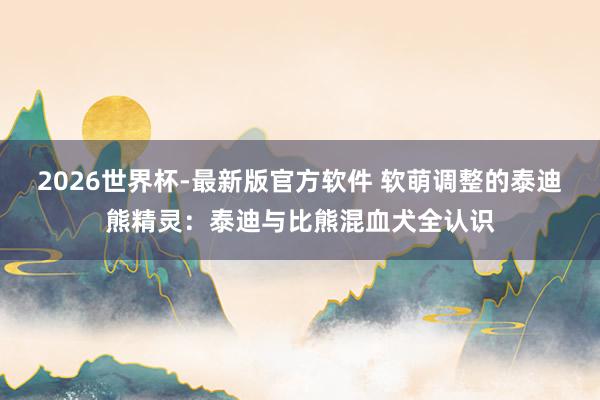 2026世界杯-最新版官方软件 软萌调整的泰迪熊精灵：泰迪与比熊混血犬全认识