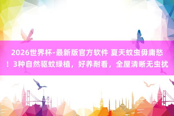 2026世界杯-最新版官方软件 夏天蚊虫毋庸愁！3种自然驱蚊绿植，好养耐看，全屋清晰无虫扰