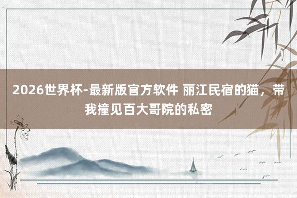 2026世界杯-最新版官方软件 丽江民宿的猫，带我撞见百大哥院的私密