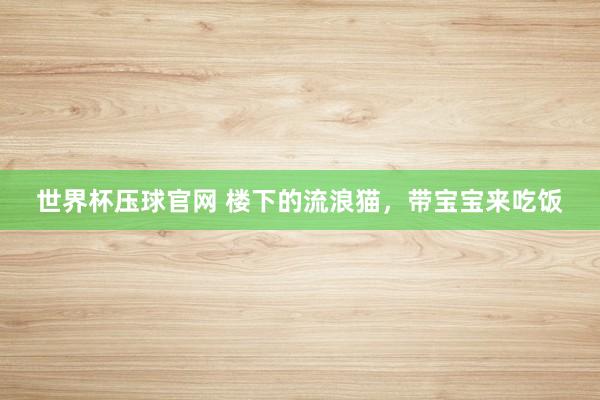 世界杯压球官网 楼下的流浪猫，带宝宝来吃饭