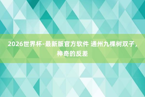 2026世界杯-最新版官方软件 通州九棵树双子，神奇的反差