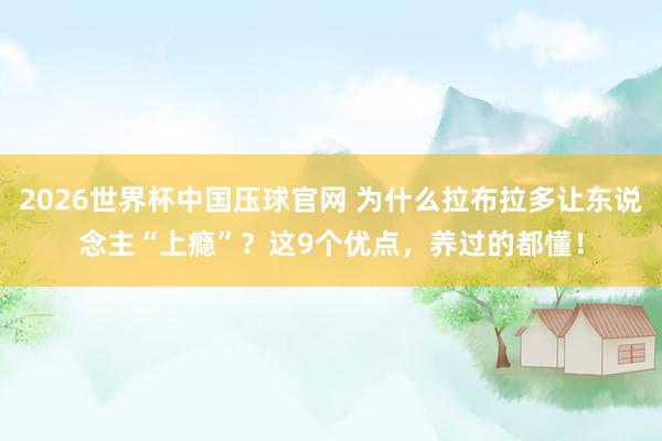 2026世界杯中国压球官网 为什么拉布拉多让东说念主“上瘾”？这9个优点，养过的都懂！