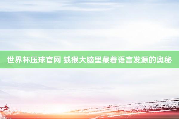 世界杯压球官网 狨猴大脑里藏着语言发源的奥秘
