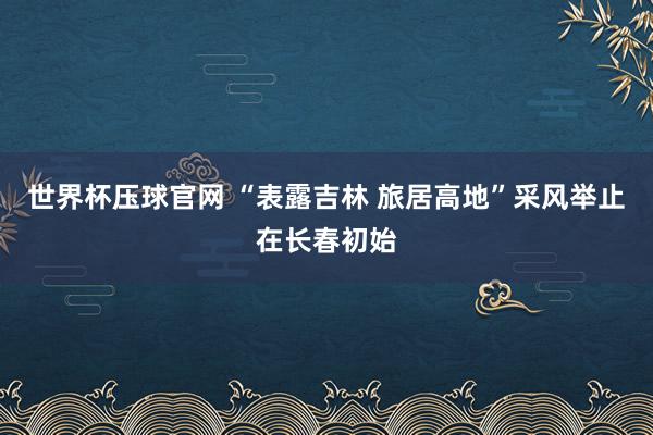 世界杯压球官网 “表露吉林 旅居高地”采风举止在长春初始