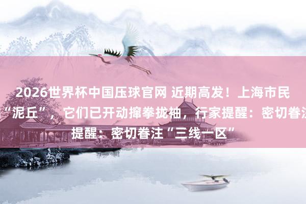 2026世界杯中国压球官网 近期高发！上海市民家中深宵惊现“泥丘”，它们已开动撺拳拢袖，行家提醒：密切眷注“三线一区”