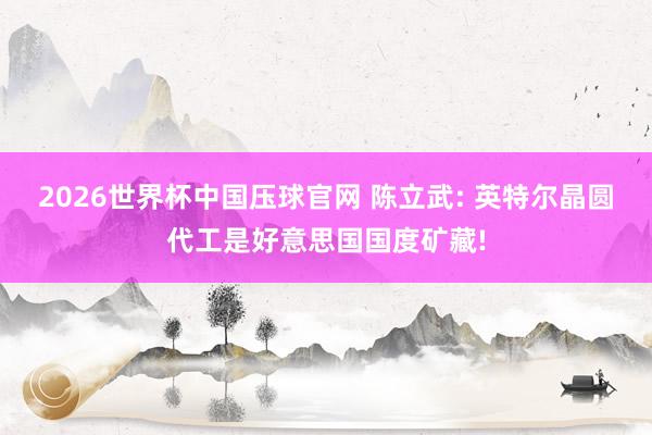 2026世界杯中国压球官网 陈立武: 英特尔晶圆代工是好意思国国度矿藏!