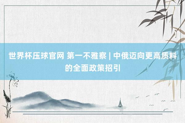 世界杯压球官网 第一不雅察 | 中俄迈向更高质料的全面政策招引