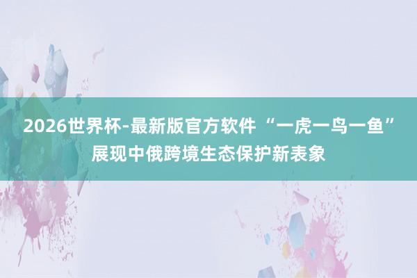 2026世界杯-最新版官方软件 “一虎一鸟一鱼”展现中俄跨境生态保护新表象