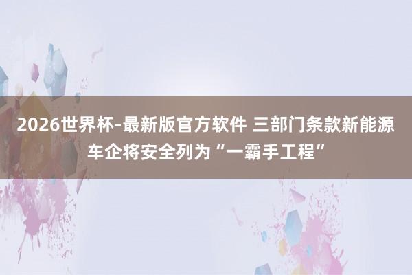 2026世界杯-最新版官方软件 三部门条款新能源车企将安全列为“一霸手工程”
