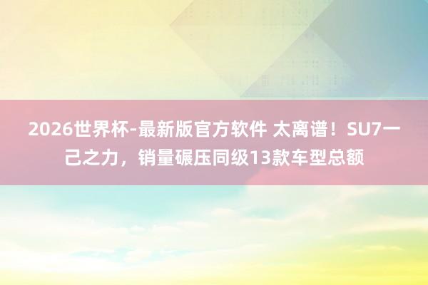2026世界杯-最新版官方软件 太离谱！SU7一己之力，销量碾压同级13款车型总额