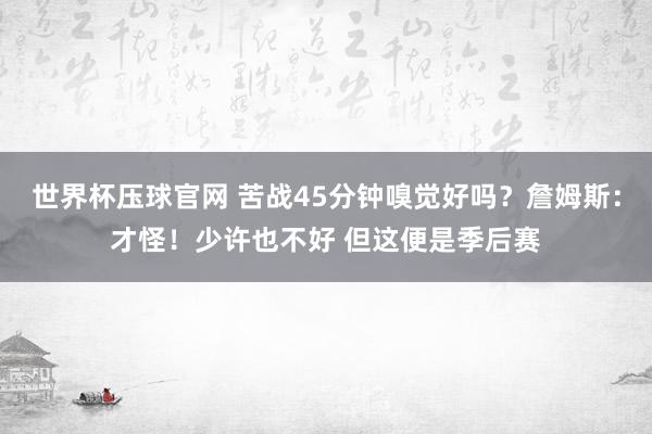 世界杯压球官网 苦战45分钟嗅觉好吗？詹姆斯：才怪！少许也不好 但这便是季后赛