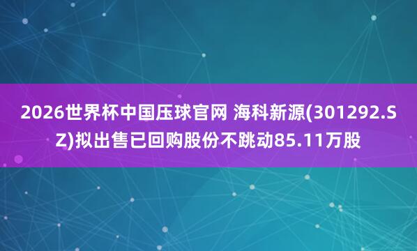 2026世界杯中国压球官网 海科新源(301292.SZ)拟出售已回购股份不跳动85.11万股