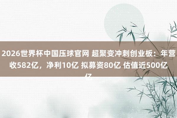 2026世界杯中国压球官网 超聚变冲刺创业板：年营收582亿，净利10亿 拟募资80亿 估值近500亿