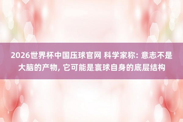 2026世界杯中国压球官网 科学家称: 意志不是大脑的产物， 它可能是寰球自身的底层结构