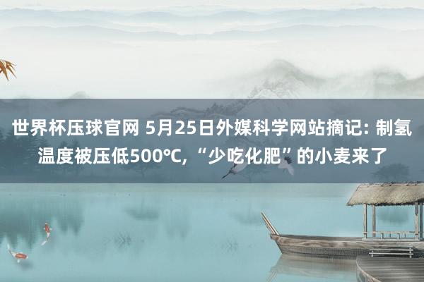 世界杯压球官网 5月25日外媒科学网站摘记: 制氢温度被压低500℃， “少吃化肥”的小麦来了
