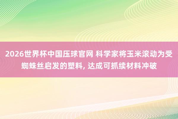 2026世界杯中国压球官网 科学家将玉米滚动为受蜘蛛丝启发的塑料， 达成可抓续材料冲破