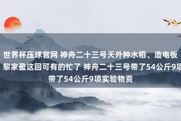 世界杯压球官网 神舟二十三号天外种水稻、造电板、养细胞! 黎家盈这回可有的忙了 神舟二十三号带了54公斤9项实验物资