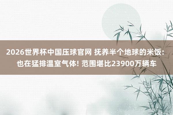 2026世界杯中国压球官网 抚养半个地球的米饭: 也在猛排温室气体! 范围堪比23900万辆车