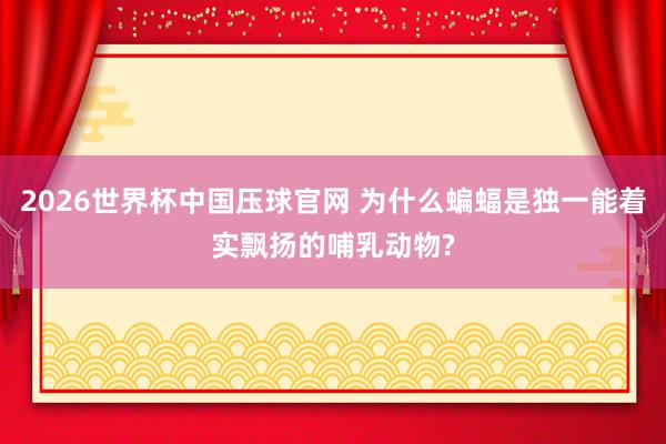 2026世界杯中国压球官网 为什么蝙蝠是独一能着实飘扬的哺乳动物?