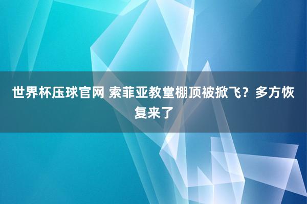 世界杯压球官网 索菲亚教堂棚顶被掀飞？多方恢复来了