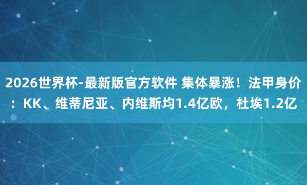 2026世界杯-最新版官方软件 集体暴涨!法甲身价:KK、维蒂尼亚、内维斯均1.4亿欧,杜埃1.2亿