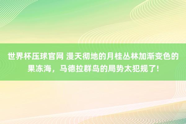世界杯压球官网 漫天彻地的月桂丛林加渐变色的果冻海，马德拉群岛的局势太犯规了!