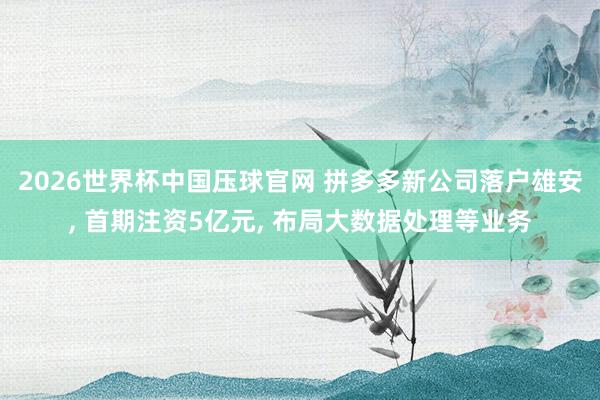 2026世界杯中国压球官网 拼多多新公司落户雄安， 首期注资5亿元， 布局大数据处理等业务