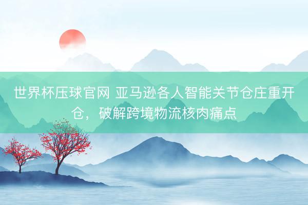 世界杯压球官网 亚马逊各人智能关节仓庄重开仓,破解跨境物流核肉痛点
