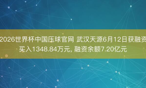 2026世界杯中国压球官网 武汉天源6月12日获融资买入1348.84万元， 融资余额7.20亿元