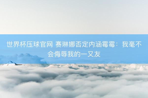世界杯压球官网 赛琳娜否定内涵霉霉：我毫不会侮辱我的一又友